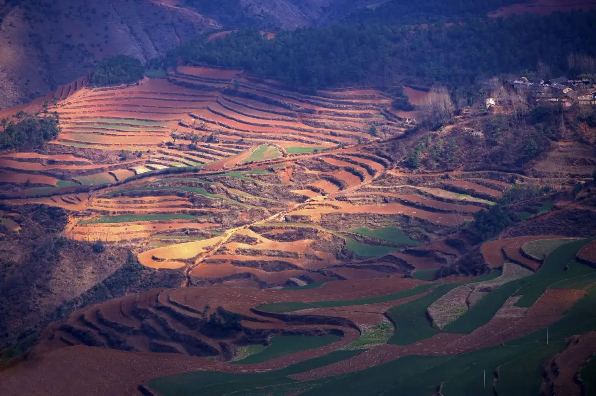Yunnan Food Guide 2026: Crossing the Bridge Noodles, Yunnan Cheese & Minority Cuisine