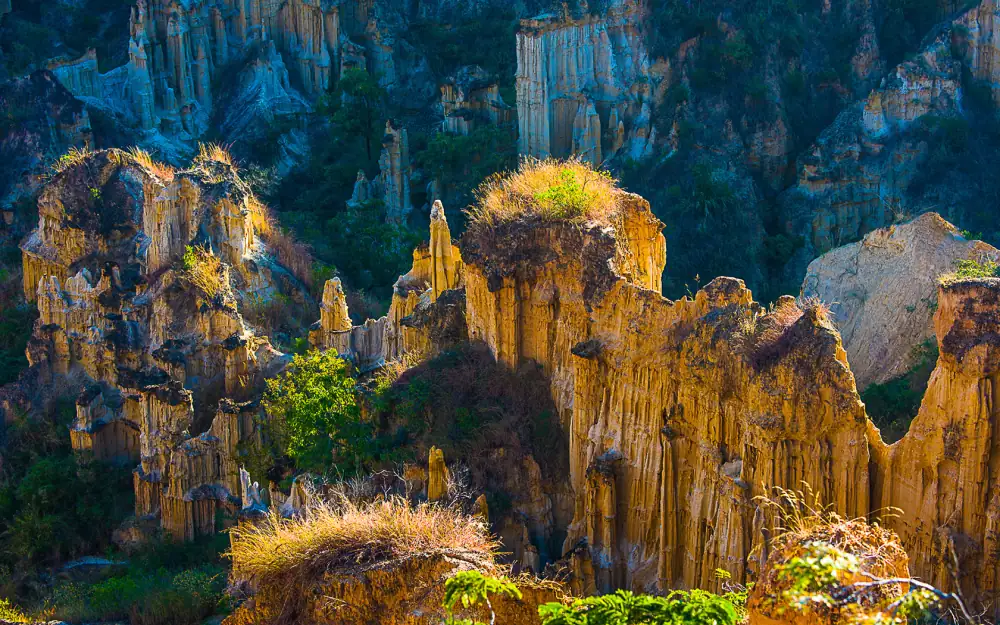 Wumao Earth Forest Scenery, Kunming