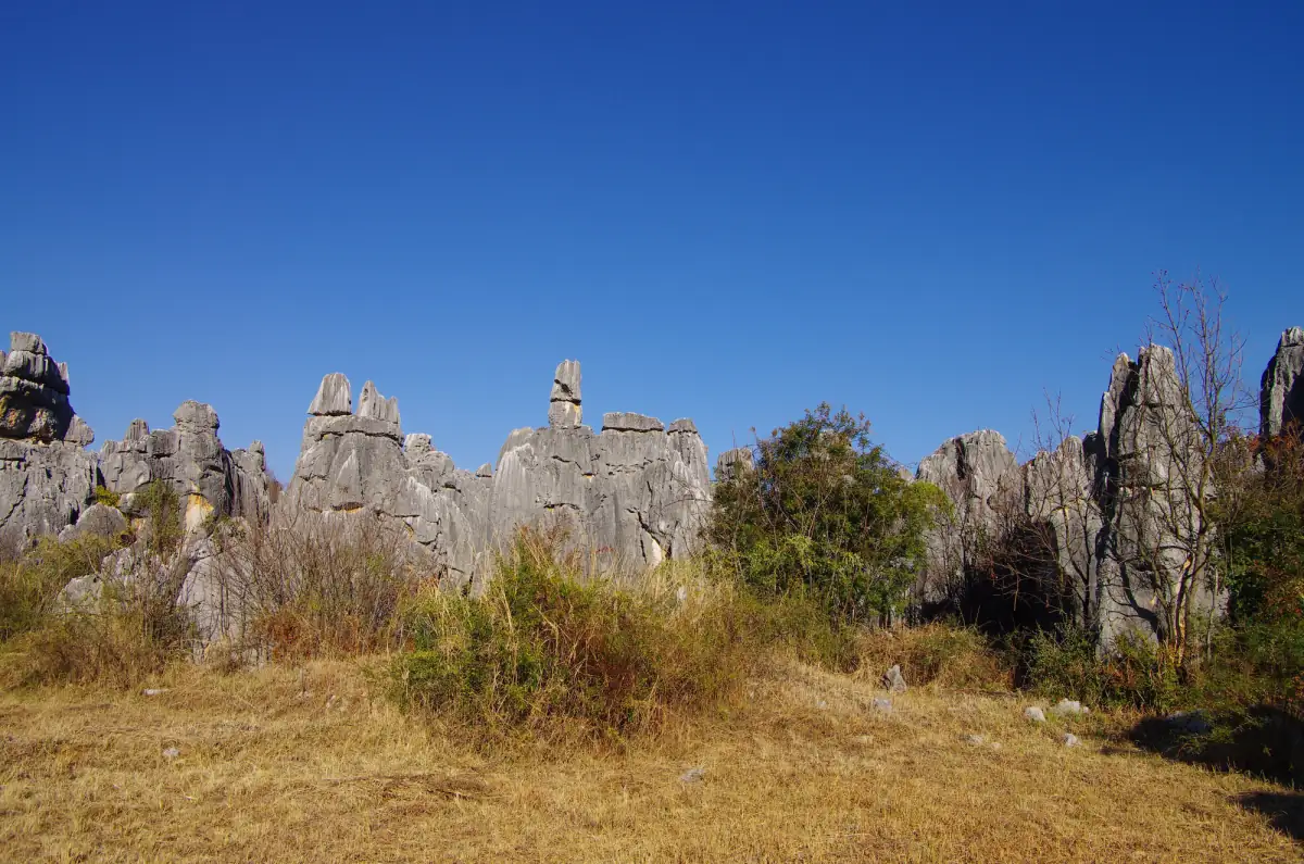 Kunming 3 Days Itinerary Guide 2026: Spring City Flowers, Stone Forest & Ethnic Market