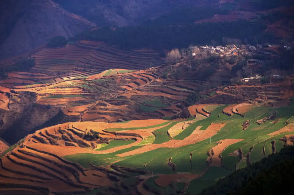 Dashanshenchu Red Soil Gengdi, Yunnan