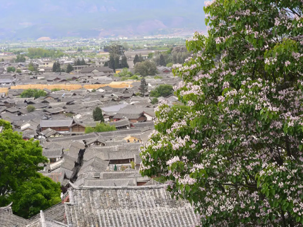 Ancient Town Aerial View, Lijiang