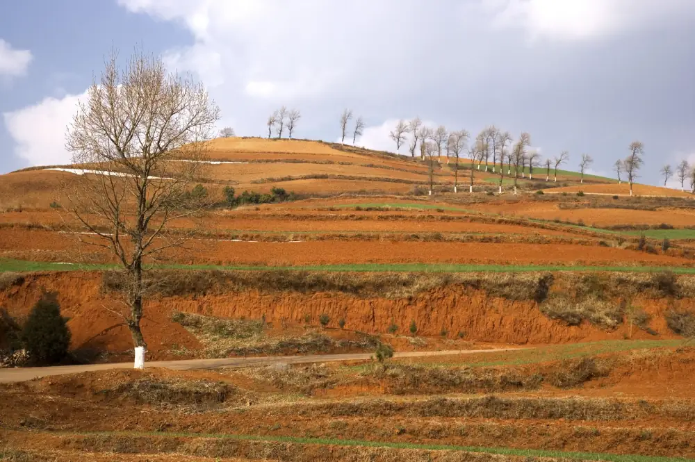 Dashanshenchu Red Soil Gengdi, Yunnan