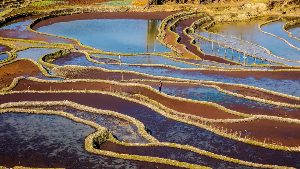 Qingkou Rice Terraces Scenery, Yunnan, Yuanyang