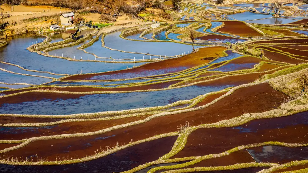 Qingkou Rice Terraces Scenery, Yunnan, Yuanyang