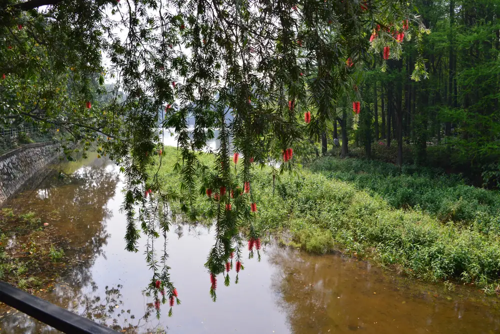 Baiyun Mountain Scenery, Guangdong, Guangzhou